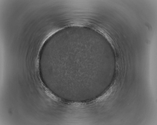 X0000111850779200908061313