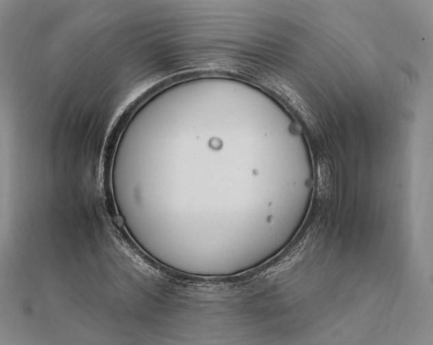 X0000111850780200908061313