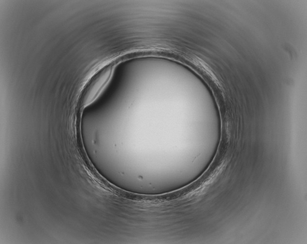 X0000111850781200908061313