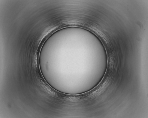 X0000111850782200908061313