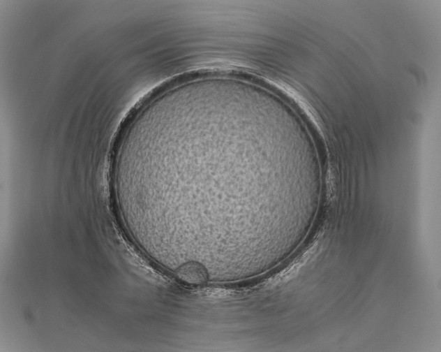 X0000111850783200908061313