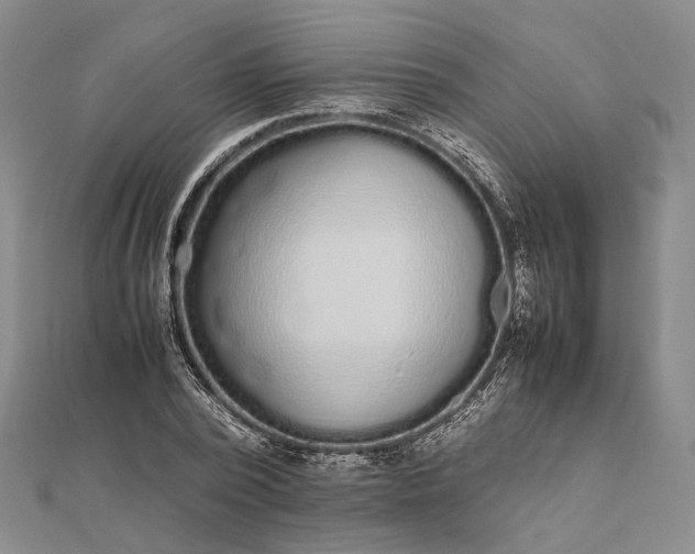 X0000111850784200908061313