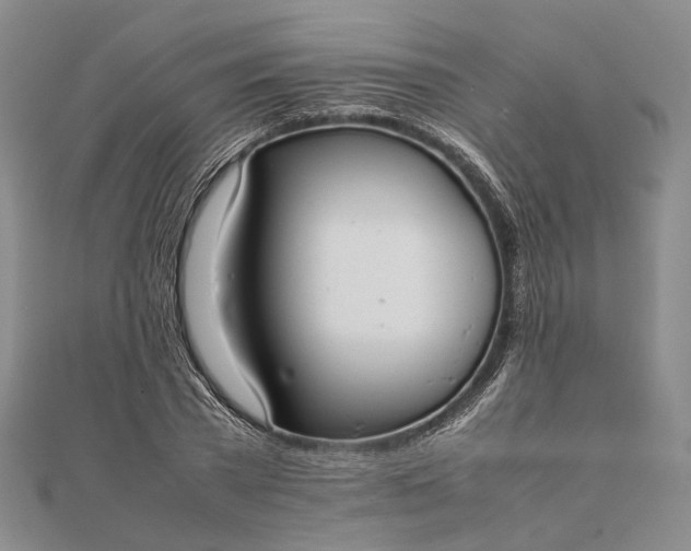 X0000111850785200908061313