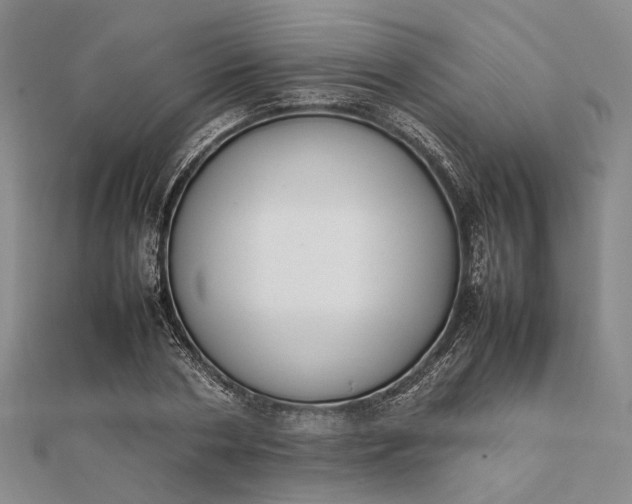 X0000111850786200908061313