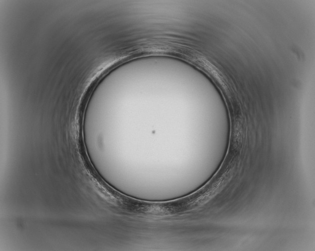 X0000111850787200908061313