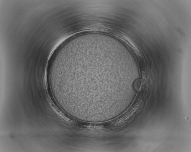 X0000111850788200908061313