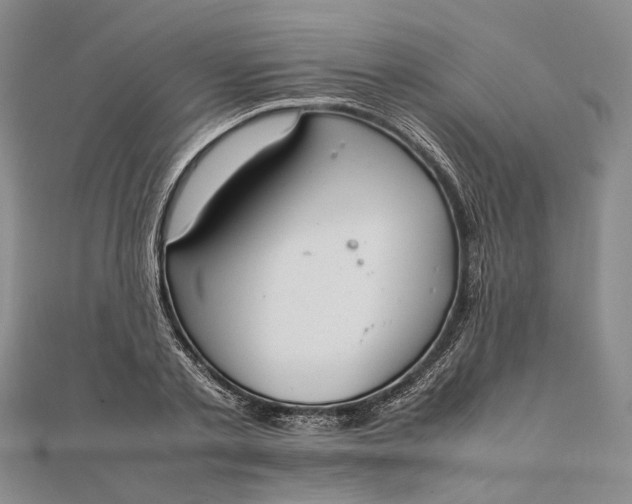 X0000111850789200908061313