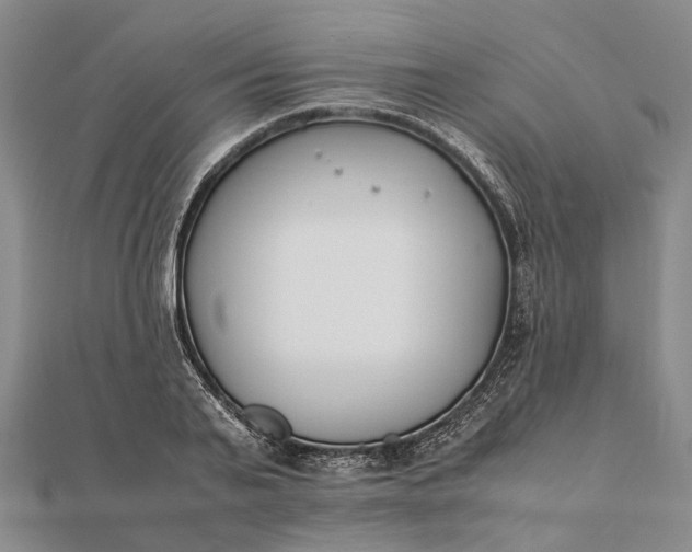 X0000111850791200908061313