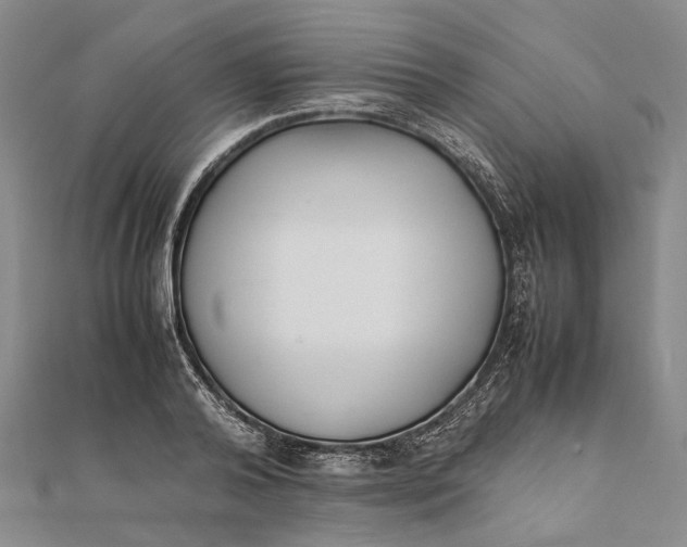 X0000111850792200908061313