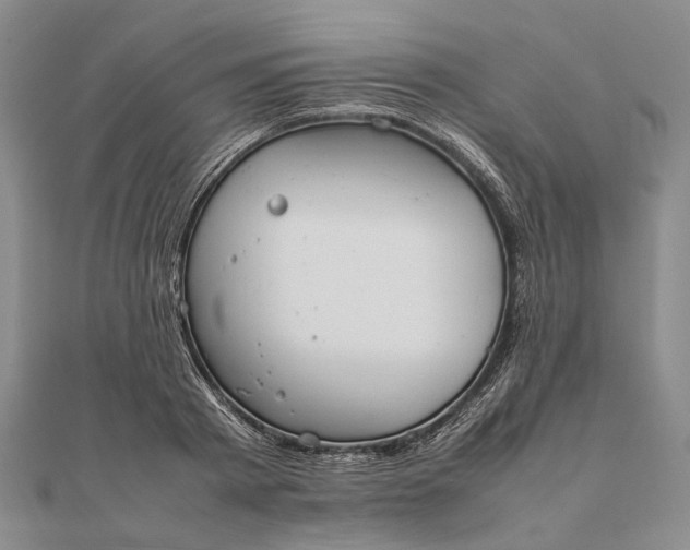 X0000111850793200908061313