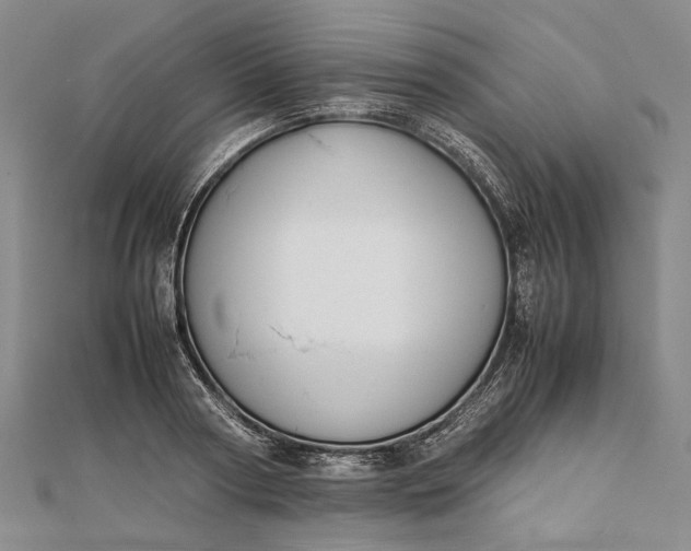 X0000111850794200908061313