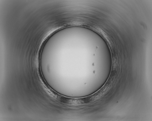 X0000111850795200908061313