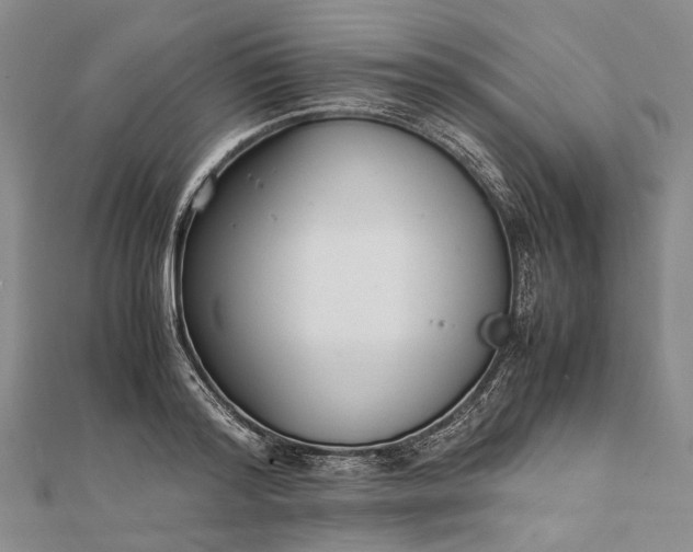 X0000111850796200908061313