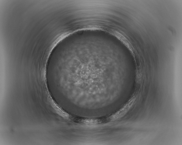 X0000111850797200908061313