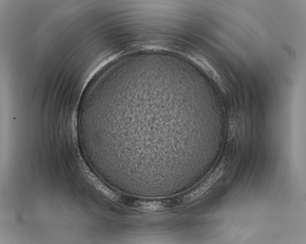 X0000111850798200908061313