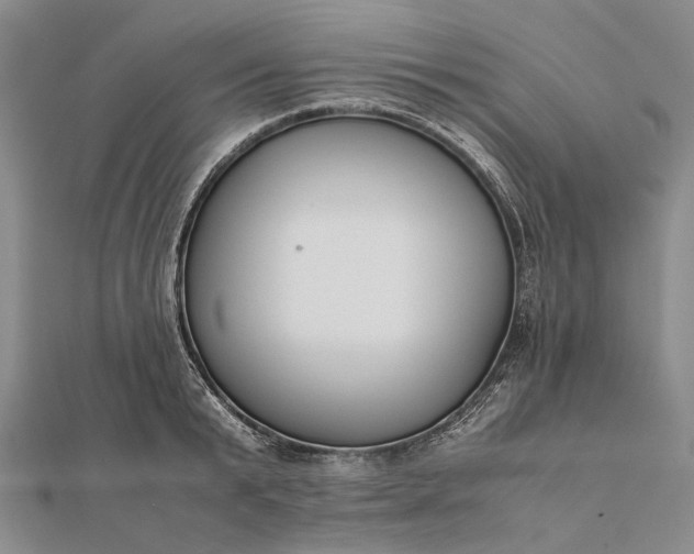 X0000111850799200908061313