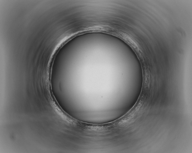 X0000111850800200908061313