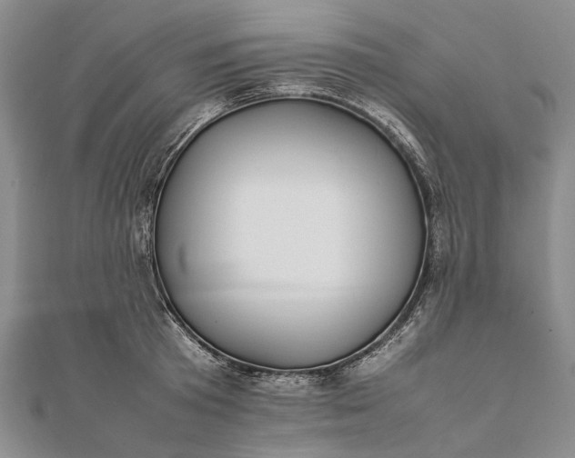 X0000111850801200908061313