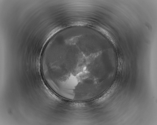 X0000111850802200908061313