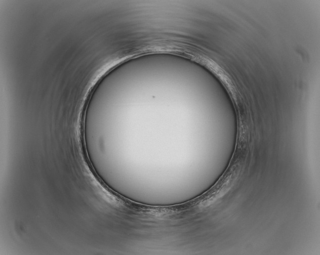 X0000111850803200908061313