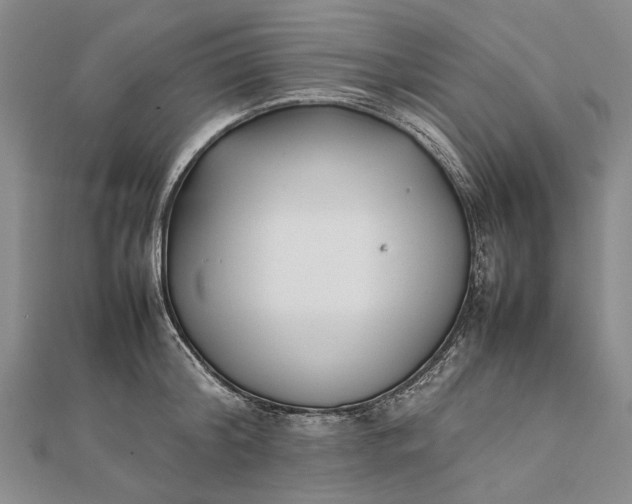 X0000111850804200908061313