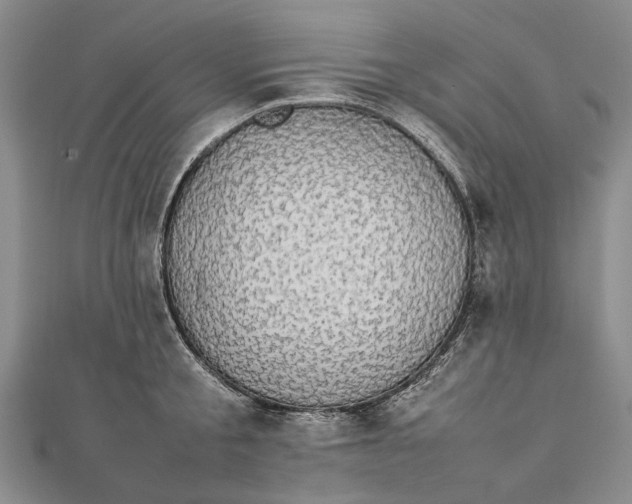 X0000111850805200908061313