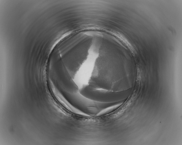 X0000111850806200908061313