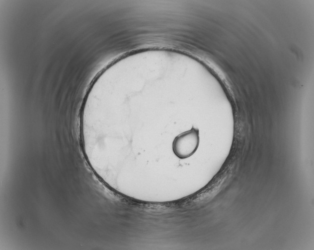 X0000111850807200908061313