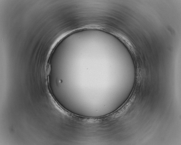 X0000111850808200908061313