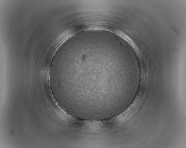 X0000111850809200908061313