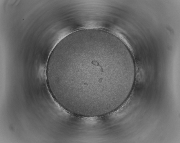 X0000111850810200908061313