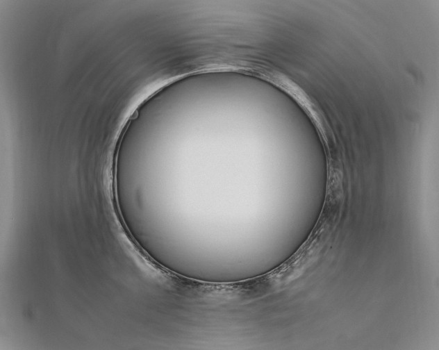 X0000111850811200908061313