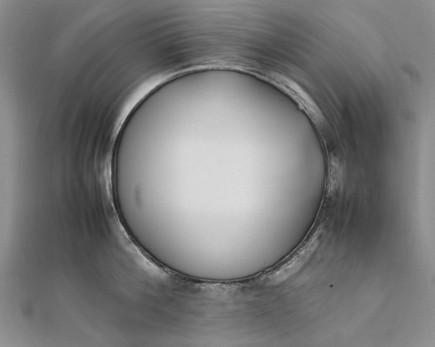 X0000111850812200908061313