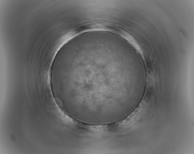 X0000111850813200908061313