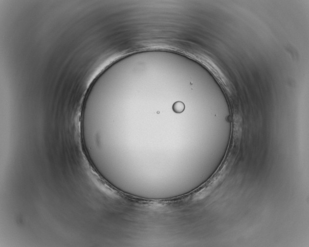 X0000111850814200908061313