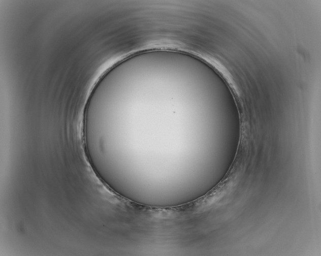 X0000111850815200908061313