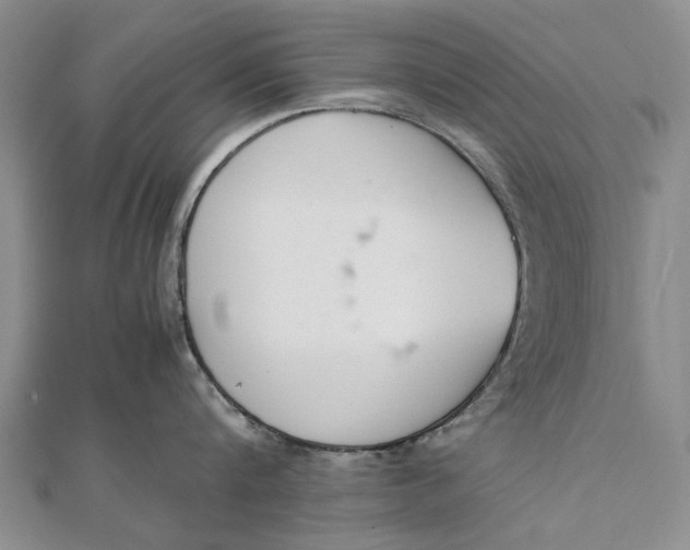 X0000111850816200908061313