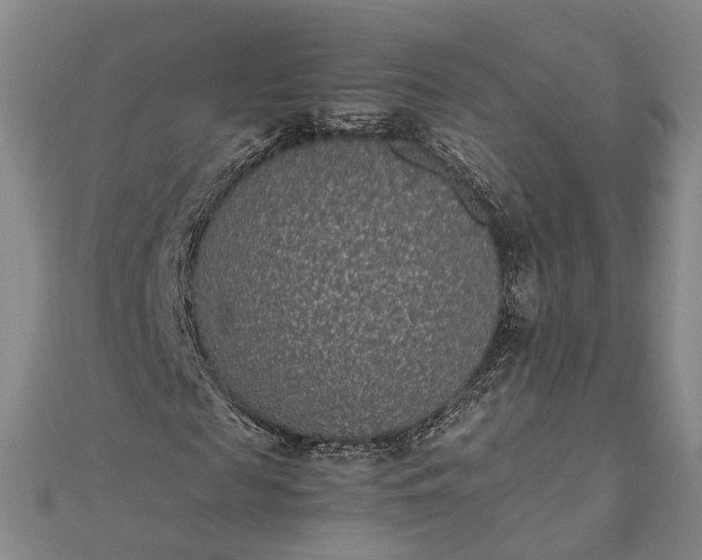 X0000111850817200908061312