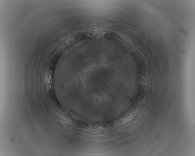 X0000111850818200908061312