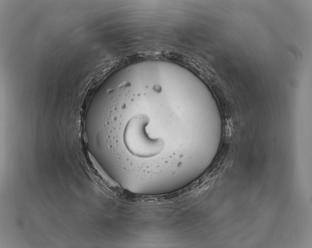 X0000111850820200908061312