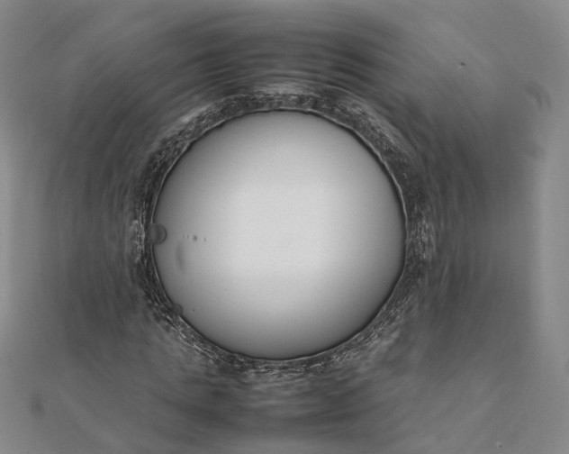 X0000111850821200908061312