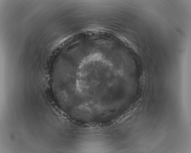 X0000111850822200908061312