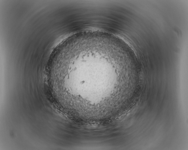 X0000111850823200908061312