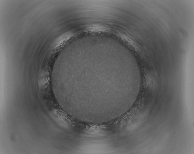 X0000111850824200908061312