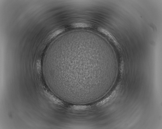 X0000111850825200908061312