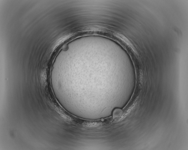 X0000111850826200908061312