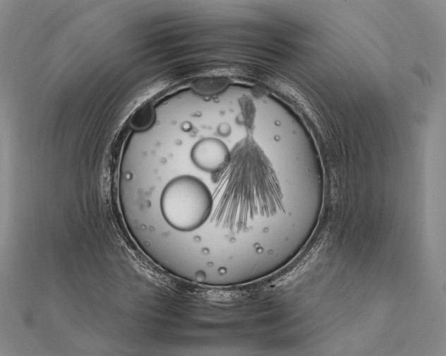 X0000111850827200908061312