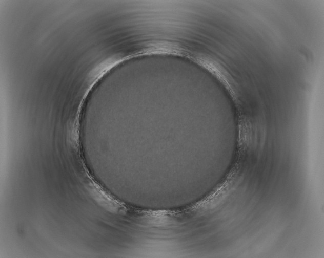 X0000111850828200908061312