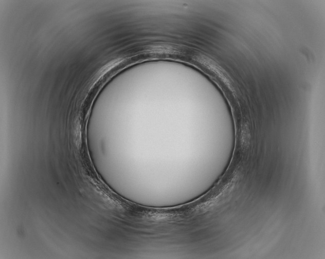 X0000111850829200908061312