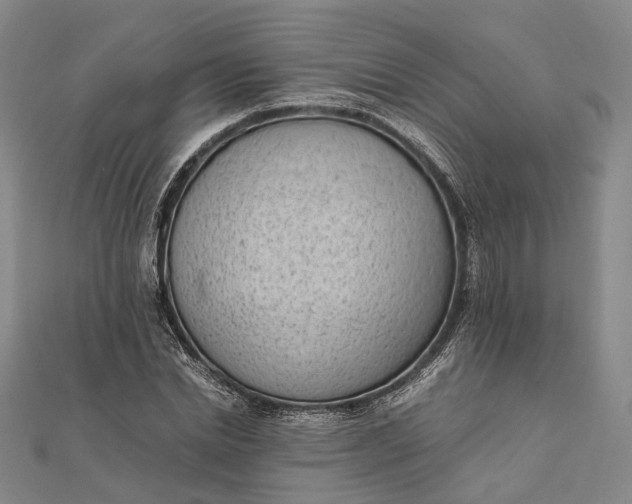 X0000111850830200908061312